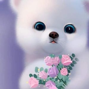 Meet your Posher, Indu